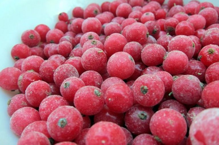 Gyorsfagyasztott Ribizli 1x10kg Ba